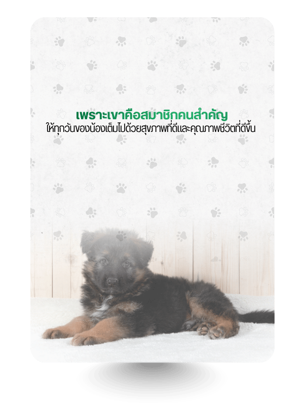 โรงพยาบาลสัตว์มาลีวัลย์ (13)